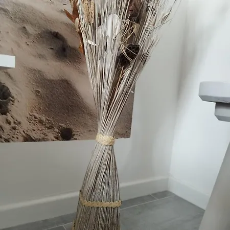 Casa Balai 72 A 100 Mt Dal Mare 公寓