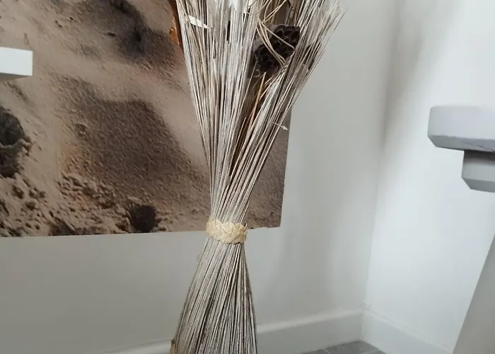 Casa Balai 72 A 100 Mt Dal Mare Appartement